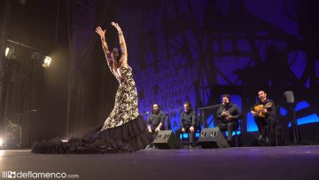 [ID: Z_2mT1fGEG4] Youtube Automatic