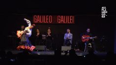 [ID: z8joVMhtbn4] Youtube Automatic