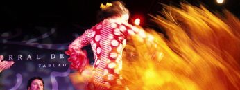 [ID: Z9OeiUWDGnQ] Youtube Automatic