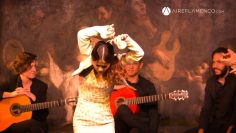 [ID: zA4_lySt41Y] Youtube Automatic