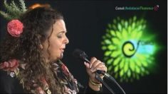 [ID: ZA6nEa4DQFU] Youtube Automatic