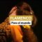ExpoFlamenco por flamenco artistas 15 S