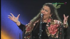 [ID: ZeHemCQT7H0] Youtube Automatic