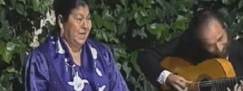 [ID: ZhaY3p6jEbQ] Youtube Automatic