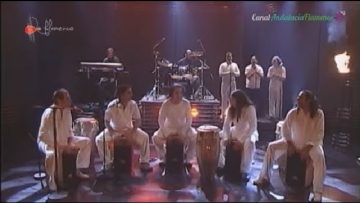 [ID: zk7IKaVPJmk] Youtube Automatic