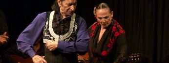 [ID: ZKFNPMhas64] Youtube Automatic