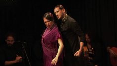 [ID: zkPKr89ewfk] Youtube Automatic