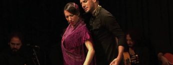 [ID: zkPKr89ewfk] Youtube Automatic