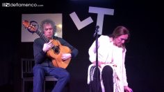 [ID: ZL8lCiCqHj8] Youtube Automatic