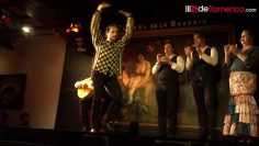 [ID: ZMAV2s-QlA0] Youtube Automatic