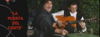 [ID: Z_MbDFJRnP4] Youtube Automatic