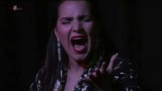 [ID: zmEGLO9NyY0] Youtube Automatic