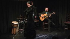 [ID: Z_q5Jqfu0cw] Youtube Automatic