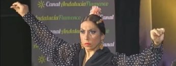 [ID: ZR_qRGkaduE] Youtube Automatic