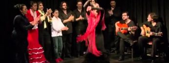 [ID: Zrx9D_D5zrI] Youtube Automatic