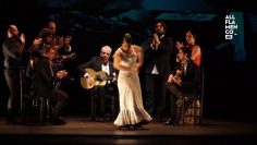 [ID: zsTLI9oIm5U] Youtube Automatic