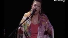 [ID: _ZSWuPGHN8c] Youtube Automatic