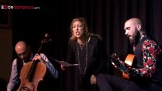 [ID: ztP5nep5_is] Youtube Automatic