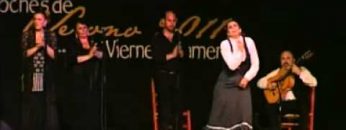 [ID: _ZU8ksNnmOA] Youtube Automatic