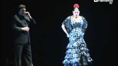 [ID: ZW88EpZIE8E] Youtube Automatic