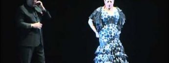 [ID: ZW88EpZIE8E] Youtube Automatic