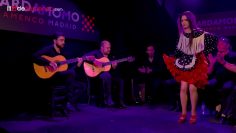 [ID: zYGcskRCdZ0] Youtube Automatic