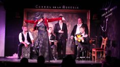 [ID: ZZv65OFGzus] Youtube Automatic