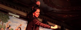 Privado: [ID: ApJWkUyVxHI] Youtube Automatic