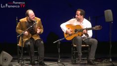 Privado: [ID: bOjsGPfILT0] Youtube Automatic