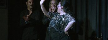 Privado: [ID: M_sJoBHP_c4] Youtube Automatic