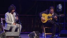 Privado: [ID: qHL6sZNalgs] Youtube Automatic