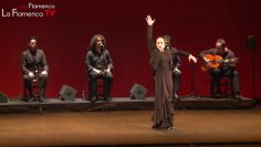 Privado: [ID: VO6jaKEyc7s] Youtube Automatic