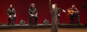 Privado: [ID: VO6jaKEyc7s] Youtube Automatic