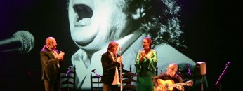 Privado: [ID: VQqS5woeqjA] Youtube Automatic