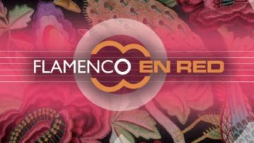 flamencocool_flamenco en red