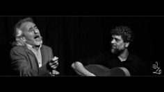 [ID: CeRgd3gk_I8] Youtube Automatic