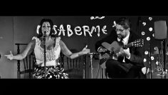 [ID: J4AesU1dHrM] Youtube Automatic