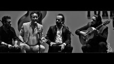 [ID: pmm3e8a3u2A] Youtube Automatic