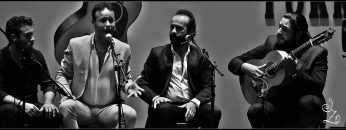 [ID: pmm3e8a3u2A] Youtube Automatic