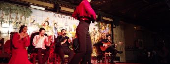 Privado: [ID: 0wdFk0Mxs8M] Youtube Automatic