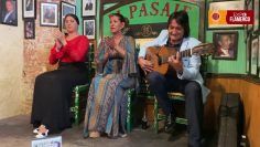 Privado: [ID: aiE6ESPk_Ok] Youtube Automatic