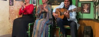 Privado: [ID: aiE6ESPk_Ok] Youtube Automatic