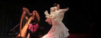 Privado: [ID: c8M_OrcDnIQ] Youtube Automatic