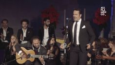 Privado: [ID: jlsHzUxSyD8] Youtube Automatic