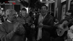 Privado: [ID: KbHrggHUVMI] Youtube Automatic