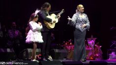 Privado: [ID: m07uF12vPNk] Youtube Automatic