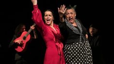 Privado: [ID: PLeOh2PnlNk] Youtube Automatic