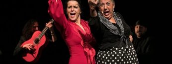 Privado: [ID: PLeOh2PnlNk] Youtube Automatic