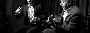 Privado: [ID: PuADHo8YRao] Youtube Automatic