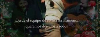 Privado: [ID: RagOFF-TA8c] Youtube Automatic